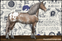 Horse Color:White Spotted Silver Brown Dun Splash Appaloosa 