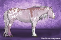 Horse Color:Watercolor White Spotted Silver Brown Dun Splash Appaloosa 