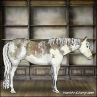Horse Color:White Spotted Liver Chestnut Mushroom Sabino Splash 
