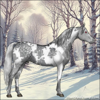 Horse Color:White Spotted Silver Grullo Chinchilla 