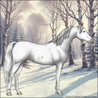 Horse Color:White Spotted Liver Chestnut Mushroom Splash Tobiano Rabicano 