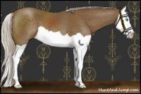 Horse Color:Chocolate Palomino Splash
