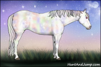Horse Color:Nacre White Spotted Silver Bay Chinchilla Ice Onyx Tobiano Rabicano 