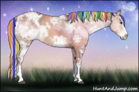 Horse Color:Painted White Spotted Silver Brown Ice Dun Splash Rabicano 