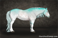Horse Color:Watercolor White Spotted Silver Brown Chinchilla Dun 