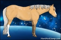 Horse Color:Silver Buckskin 