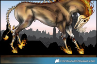 Horse Color:Gray Classic Champagne Onyx