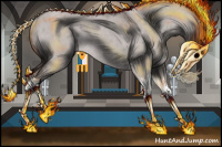 Horse Color:Platinum Silver Grullo Roan Splash Rabicano