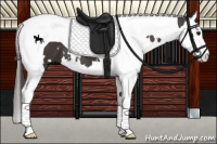 Horse Color:White Spotted Smoky Black Splash Tobiano 