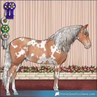 Horse Color:White Spotted Silver Classic Champagne 