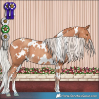 Horse Color:White Spotted Silver Classic Champagne