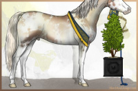 Horse Color:White Spotted Liver Red Onyx Pearl Mushroom Sabino Splash 