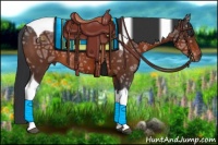 Horse Color:Brown Ice Tobiano