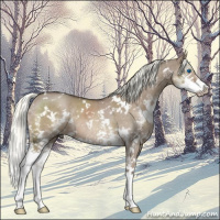 Horse Color:White Spotted Liver Red Dun Mushroom Sabino Splash Brindle 