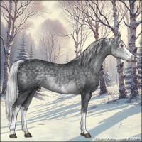 Horse Color:White Spotted Silver Black Chinchilla 