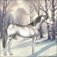 Horse Color:White Spotted Liver Red Onyx Ice Mushroom Splash Frame Rabicano