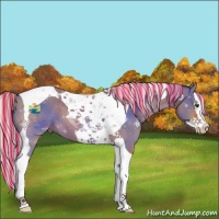 Horse Color:Painted Silver Brown Dun Splash Tobiano 
