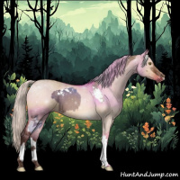 Horse Color:Silver Bay Dun Tobiano and Silver Bay Dun