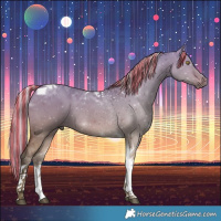 Horse Color:Painted Silver Brown Dun Tobiano 