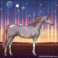 Horse Color:Painted Silver Brown Dun Tobiano 