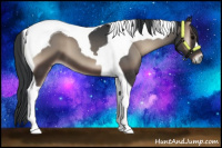 Horse Color:Blue Onyx Tobiano 