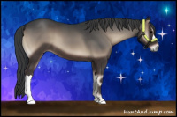 Horse Color:Blue Onyx 