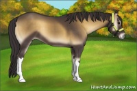 Horse Color:Smoky Blue Onyx 