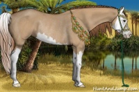 Horse Color:Red Dun Sabino Splash Rabicano