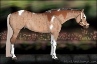 Horse Color:Silver Brown Dun Sabino Tobiano Rabicano 