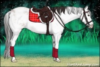 Horse Color:Bay Sabino Splash 