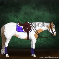 Horse Color:Buckskin Tobiano Frame Appaloosa 