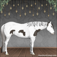 Horse Color:Smoky Black Splash Tobiano