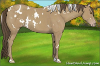 Horse Color:White Spotted Classic Cream Champagne 