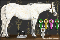 Horse Color:Palomino Leopard  and Palomino Near Leopard 
