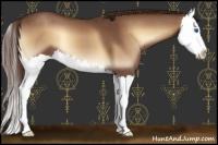 Horse Color:Red Onyx Roan Splash 