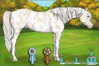 Horse Color:White Spotted Silver Perlino Roan Dun Appaloosa 