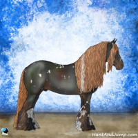 Horse Color:White Spotted Liver Chestnut 
