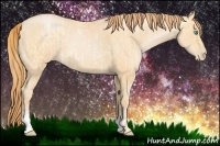 Horse Color:Buckskin Roan Pearl and Buckskin Roan Pearl