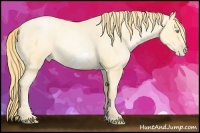 Horse Color:Buckskin Roan Pearl  and Buckskin Roan Pearl Frame 