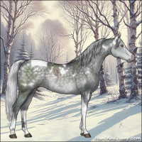 Horse Color:White Spotted Silver Black Chinchilla Tobiano 
