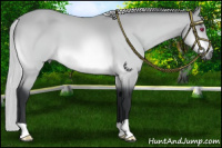 Horse Color:Silver Brown Chinchilla 