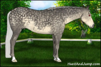 Horse Color:Silver Smoky Black Chinchilla 