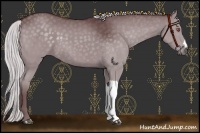 Horse Color:Chocolate Silver Black Chinchilla 