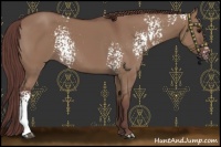 Horse Color:White Spotted Chocolate Smoky Grullo 