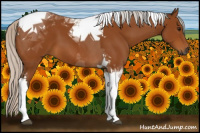 Horse Color:Gray Silver Bay Tobiano 