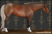 Horse Color:Silver Brown 