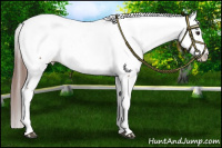 Horse Color:Brown Tobiano Fewspot  and Sable Champagne Fewspot 