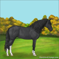 Horse Color:Blue Roan