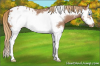 Horse Color:Red Roan Splash Frame Appaloosa