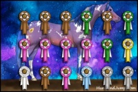 Horse Color:Watercolor White Spotted Bay